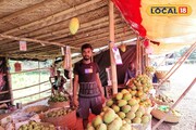 এত সুস্বাদু সুগন্ধি আম যে দেখলেই জিভে জল! ২৪ ঘণ্টা খোলা রাখতে হচ্ছে 'ফলের রাজা'র বাজার!