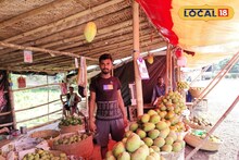 এত সুস্বাদু সুগন্ধি আম যে দেখলেই জিভে জল! ২৪ ঘণ্টা খোলা রাখতে হচ্ছে 'ফলের রাজা'র বাজার!