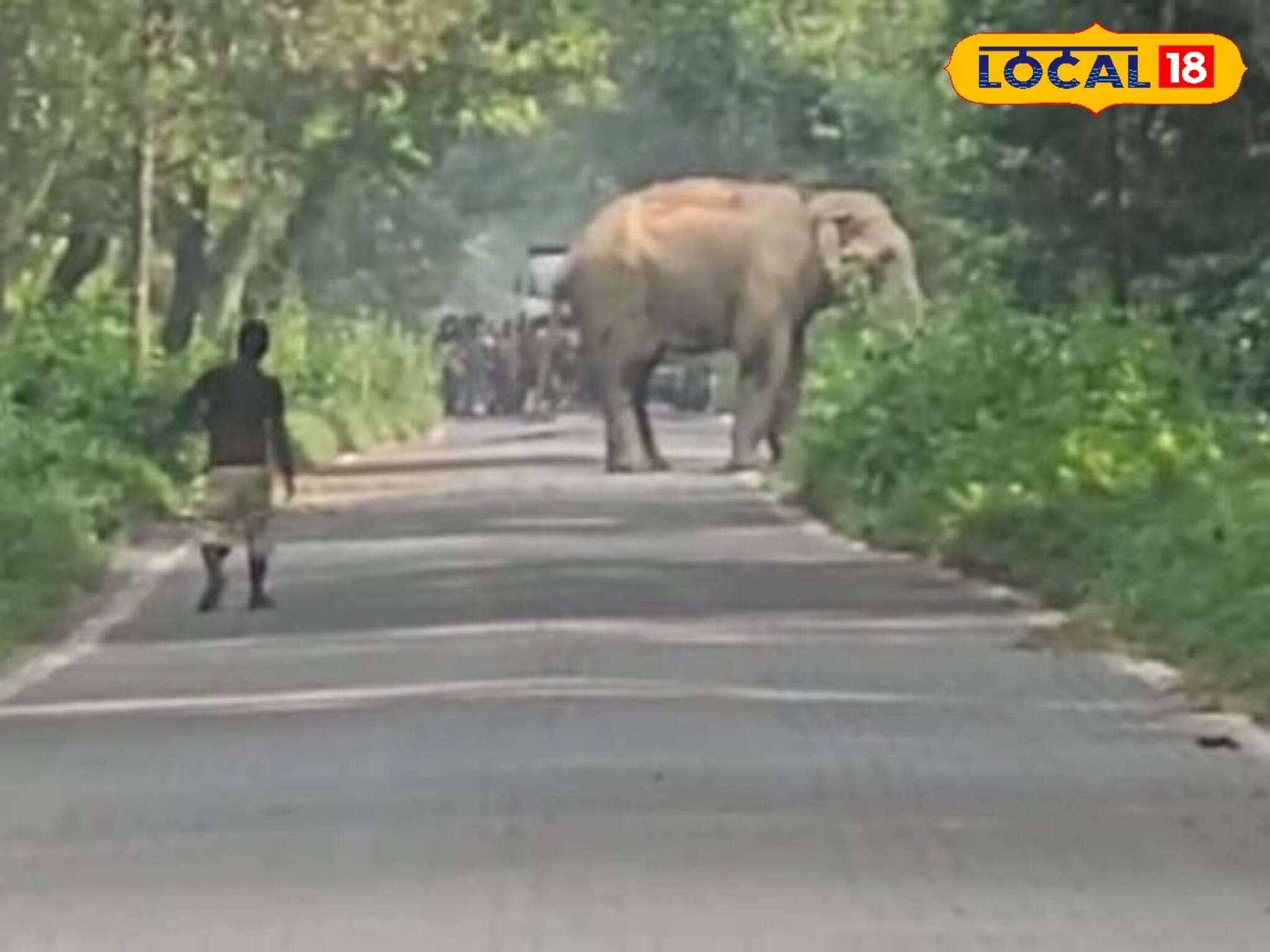বয়স বাড়তেই ফিটনেস নিয়ে চিন্তা! রোজ ৩০ মিনিট ইভনিং ওয়াকে বায়া গণেশ বুড়ো হাতির