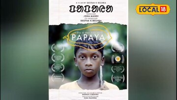 প্যাপায়া