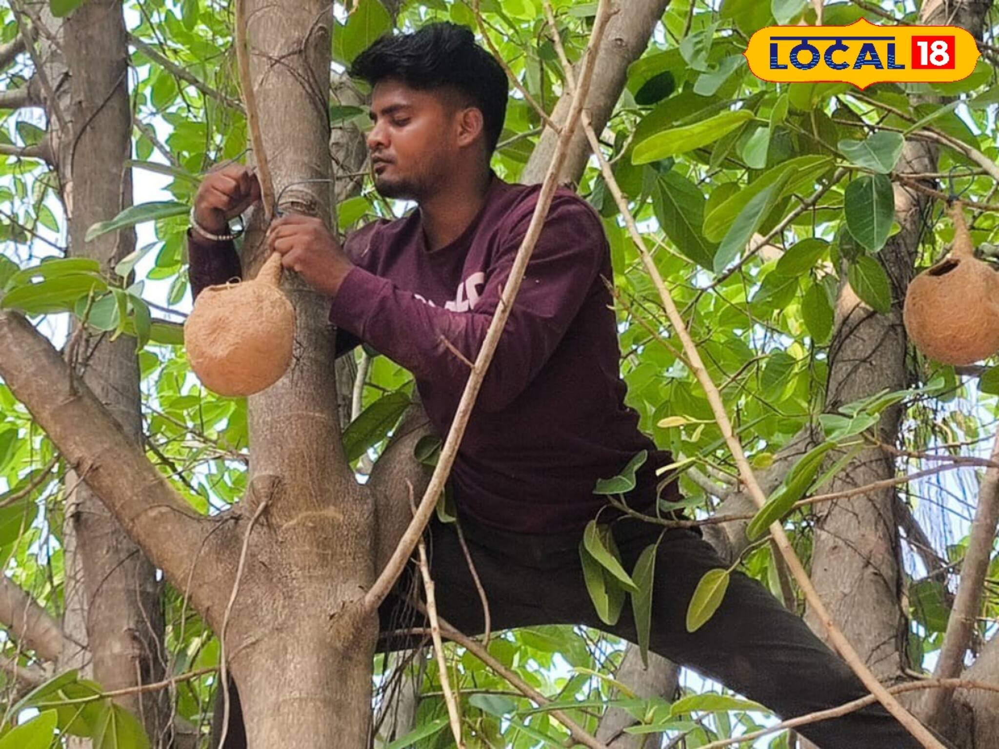 পাখির বাসা থেকে পরিবেশবান্ধব কলম, আরও কতকি! বাঁকুড়ার এই শুধু স্কুল, রাজ্যের গর্ব