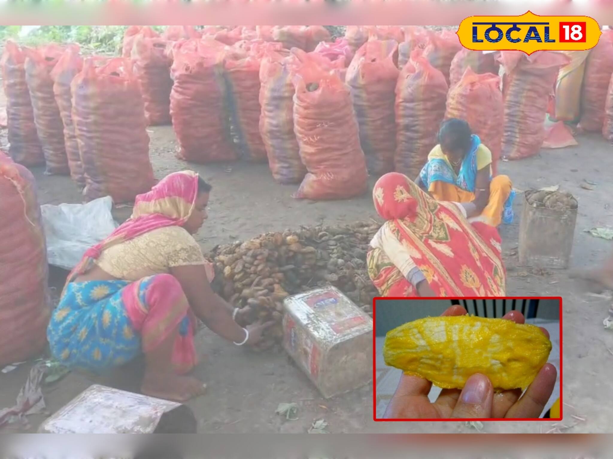 আম নয়, আমের আঁটি কিনতেই ভিড় দোকানে! কেন? কী হবে আঁটি দিয়ে? জানলে চমকে যাবেন