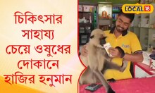 ঝাড়গ্রামে ওষুধের দোকানে বসে ORS খেল অসুস্থ হনুমান, চারিদিকে হুলুস্থুল