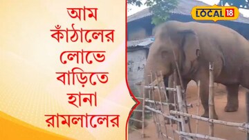 রামলালের