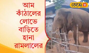রামলালের