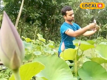 Money Making Tips: নামমাত্র জায়গা, বাড়িতে ছোট্ট বাগান থাকলেই আসবে টাকা! এইভাবে পদ্ম চাষ করলেই হবে মোটা অঙ্কের রোজগার