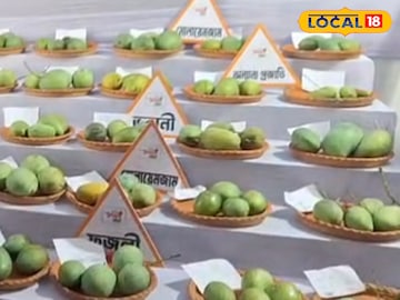Mango Festival: আম খেতে ভালবাসেন! কতরকম আম খেয়েছেন, ৩ নাকি ৪, এখানে মিলছে ১০০ রকমের আম