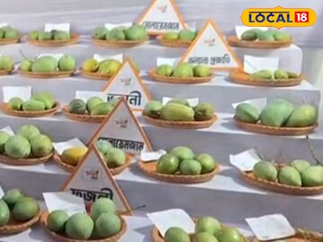 Mango Festival: আম খেতে ভালবাসেন! কতরকম আম খেয়েছেন, ৩ নাকি ৪, এখানে মিলছে ১০০ রকমের আম Mango Festival: আম খেতে ভালবাসেন! কতরকম আম খেয়েছেন, ৩ নাকি ৪, এখানে মিলছে ১০০ রকমের আম
