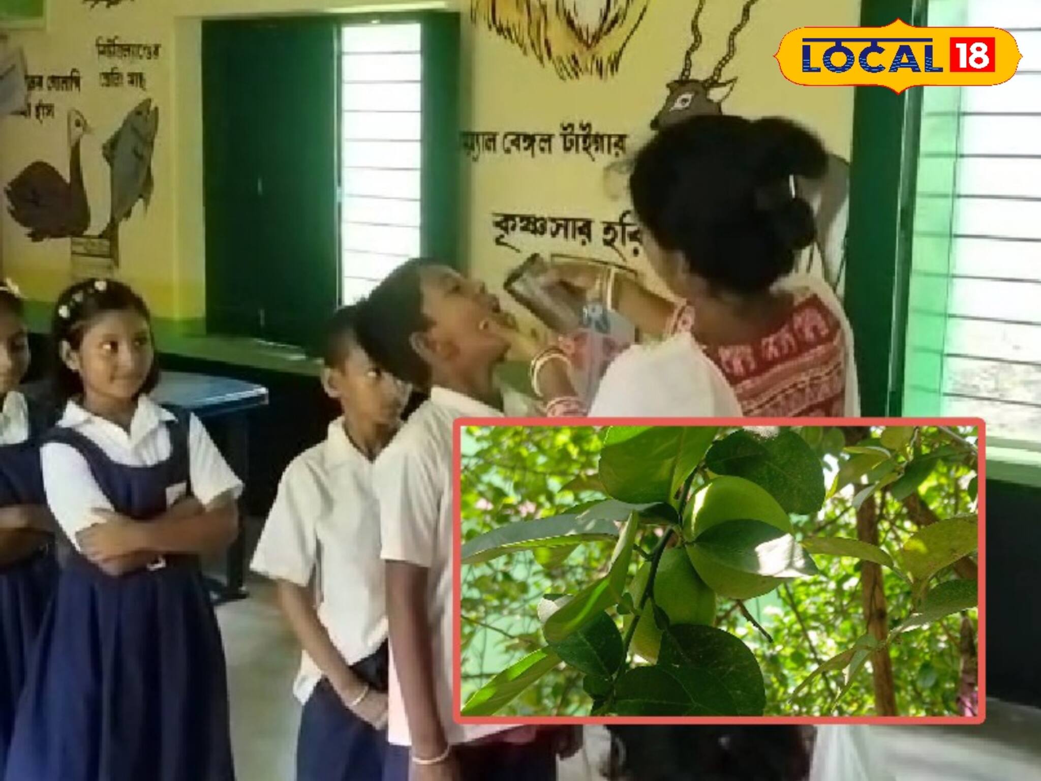 খুদে পড়ুয়াদের ডিহাইড্রেশন দূর করতে এই স্কুলের বন্দোবস্ত দেখলে কুর্নিশ জানাবেন আপনিও