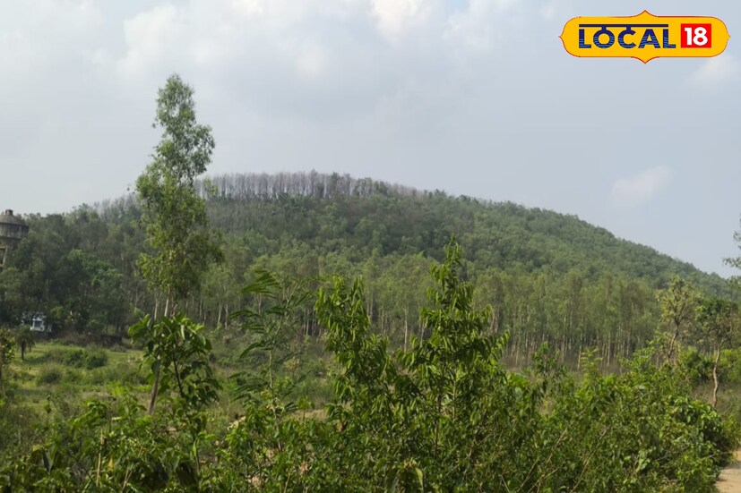 বাংলার মানুষ বেছে নিচ্ছে ঘরের সামনে এই পাহাড় যেখানে গেলে পেয়ে যাবেন একটি গুপ্ত গুহা। গুহার ভিতরে পাথরের গায়ে খোদাই করা অসম্ভব সুন্দর কারুকার্য। বাংলার মানুষ বেছে নিচ্ছে ঘরের সামনে এই পাহাড় যেখানে গেলে পেয়ে যাবেন একটি গুপ্ত গুহা। গুহার ভিতরে পাথরের গায়ে খোদাই করা অসম্ভব সুন্দর কারুকার্য।