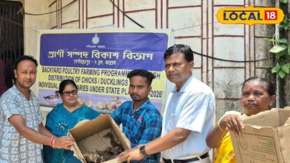 হাঁস মুরগি বিতরণ হাঁস মুরগি বিতরণ