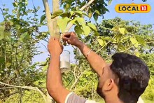 তীব্র গরমে জল কষ্টে যেন না কাটে পাখিদের! এগিয়ে এল যুবক দল, করলেন প্রশংসনীয় কাজ