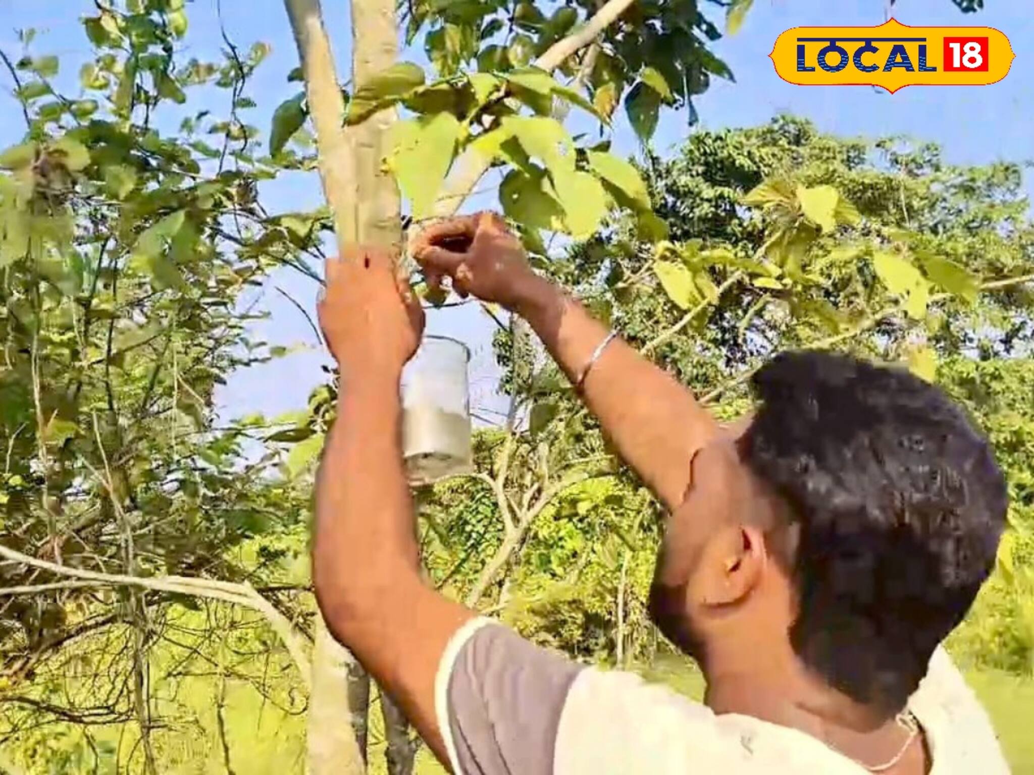 তীব্র গরমে জল কষ্টে যেন না কাটে পাখিদের! এগিয়ে এল যুবক দল, করলেন প্রশংসনীয় কাজ