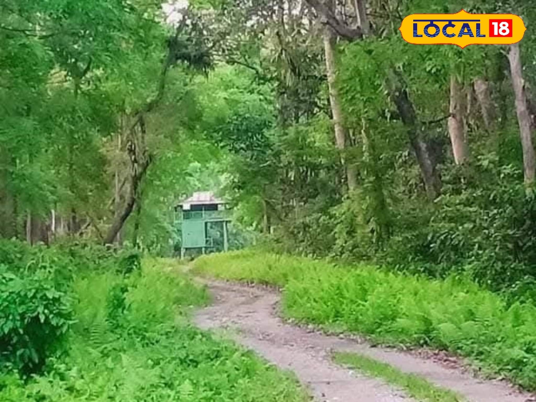 আজ থেকে বন্ধ হল রাজ্যের সব জঙ্গল, বর্ষায় ডুয়ার্সের কোথায় ঘুরতে যাবেন? রইল সুলুকসন্ধান