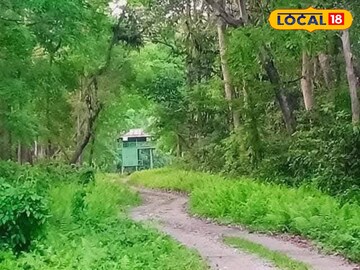 ইকো  ইকো