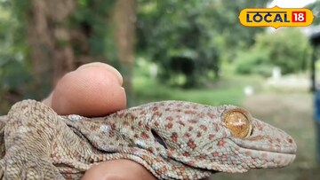 বহুমূল্য