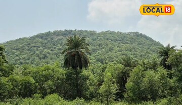 কানাইসর
