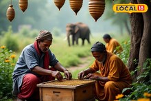 হাতি তাড়াবে মৌমাছি! ডুয়ার্সে বনদফতরের অভিনব প্রকল্পে মিলছে জীবিকার নতুন পথ