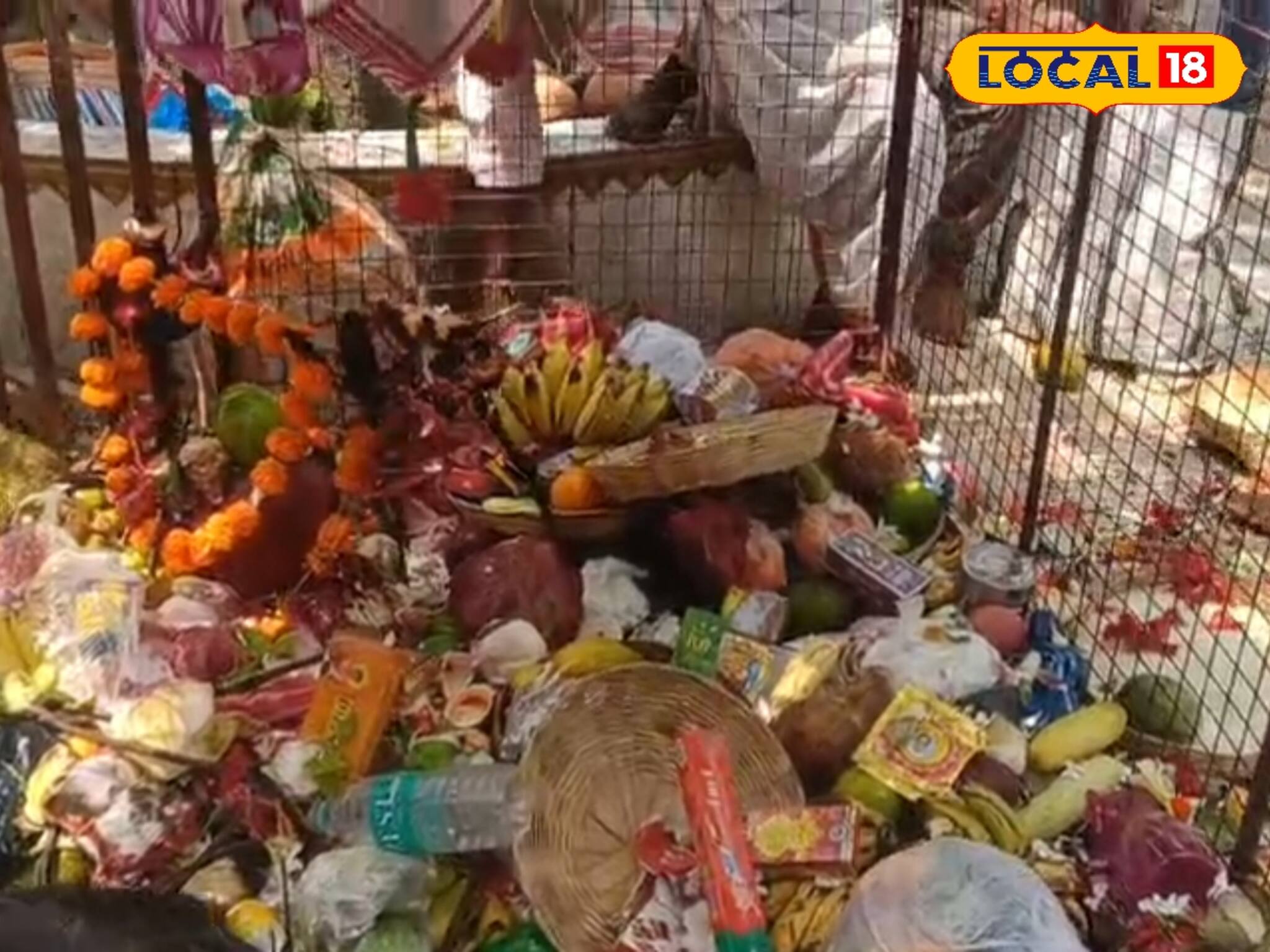 গ্রামের নাম তক্ষক, ভক্তদের ঢল নামে দেবী নাগেশ্বরী মাতার ৫০০ বছরের প্রাচীন পুজো উপলক্ষে