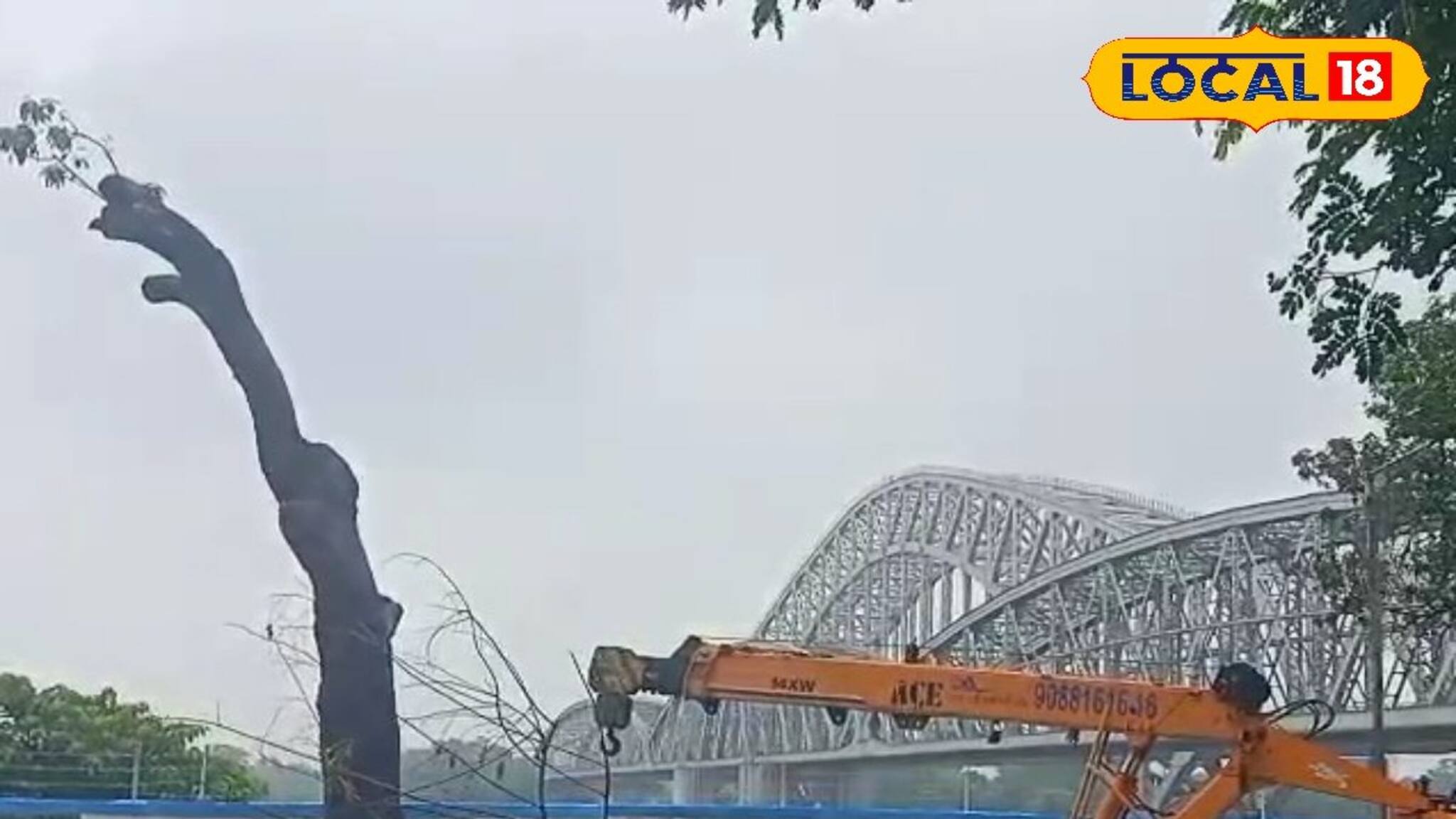 নির্বিচারে কাটা হচ্ছে গাছ! ইমামবাড়ায় সবুজ বাঁচাল স্থানীয় মানুষ ও বিজ্ঞান মঞ্চ