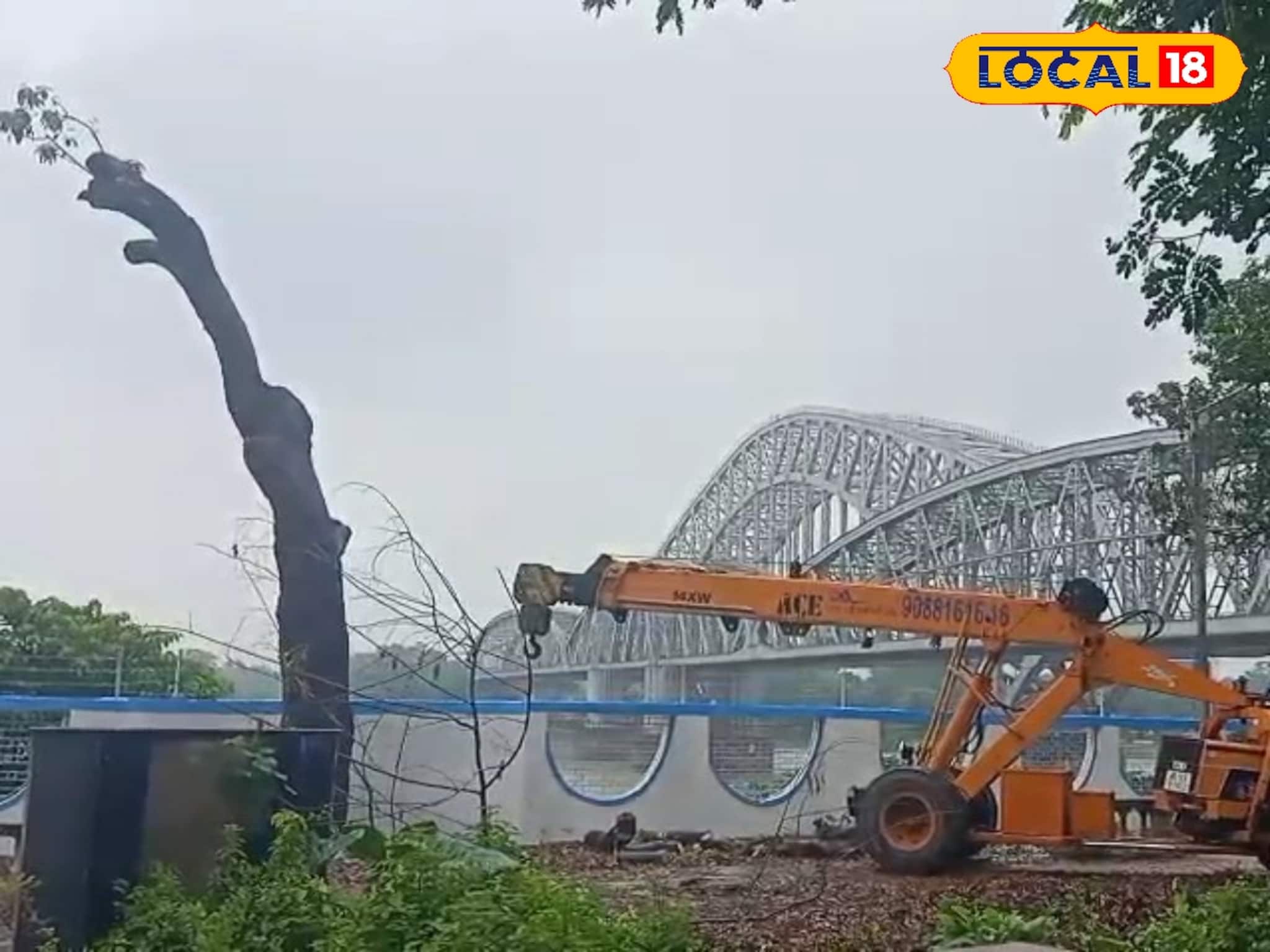 নির্বিচারে কাটা হচ্ছে গাছ! ইমামবাড়ায় সবুজ বাঁচাল স্থানীয় মানুষ ও বিজ্ঞান মঞ্চ