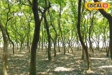 শহরের কোলাহল ছেড়ে প্রকৃতির মাঝে হারিয়ে যাওয়ার ঠিকানা খুঁজছেন? চলে আসুন এই ঠিকানায়! শহরের কোলাহল ছেড়ে প্রকৃতির মাঝে হারিয়ে যাওয়ার ঠিকানা খুঁজছেন? চলে আসুন এই ঠিকানায়!