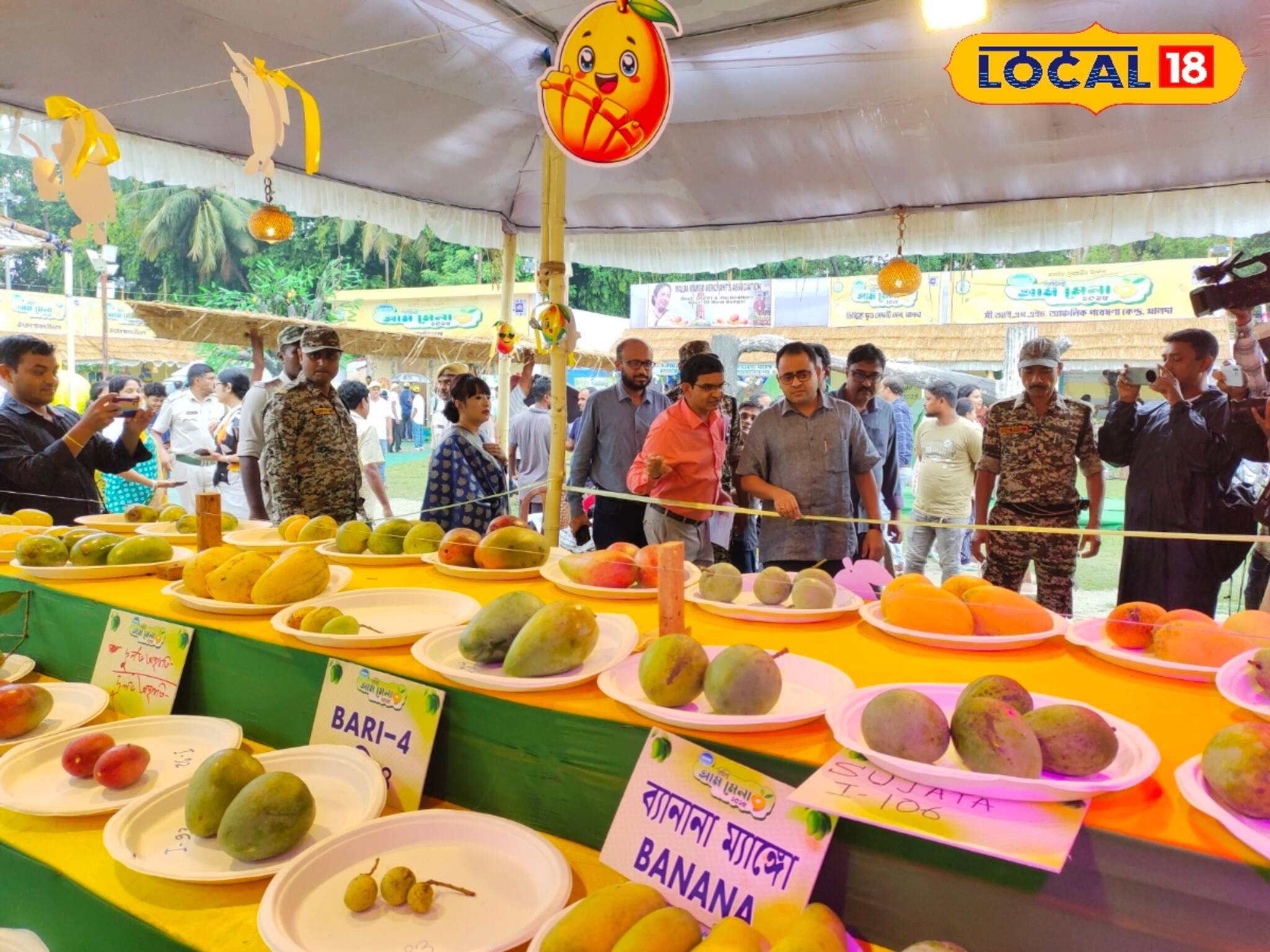 হিমসাগর, ল্যাংড়াতেই শেষ নয় আম! রয়েছে আরও শতাধিক প্রজাতি, অনেকের কাছেই অজানা সেইসব আমের নাম