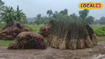 লাগাতার