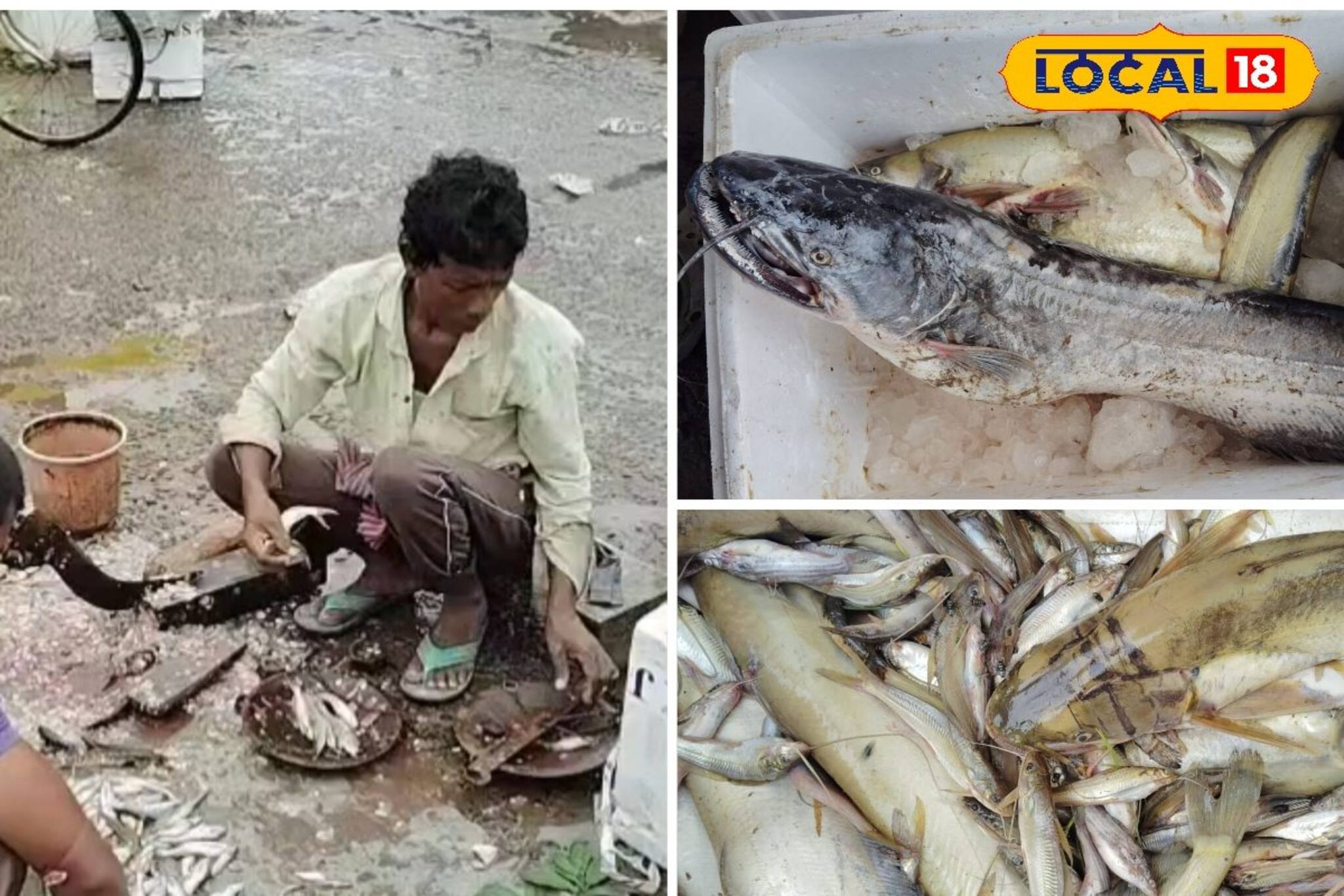 জলের দরে সস্তা, অর্ধেক দামে বিকোচ্ছে পাবদা-ট্যাংরা, খবর পেয়ে ছুটে আসছেন মানুষজন