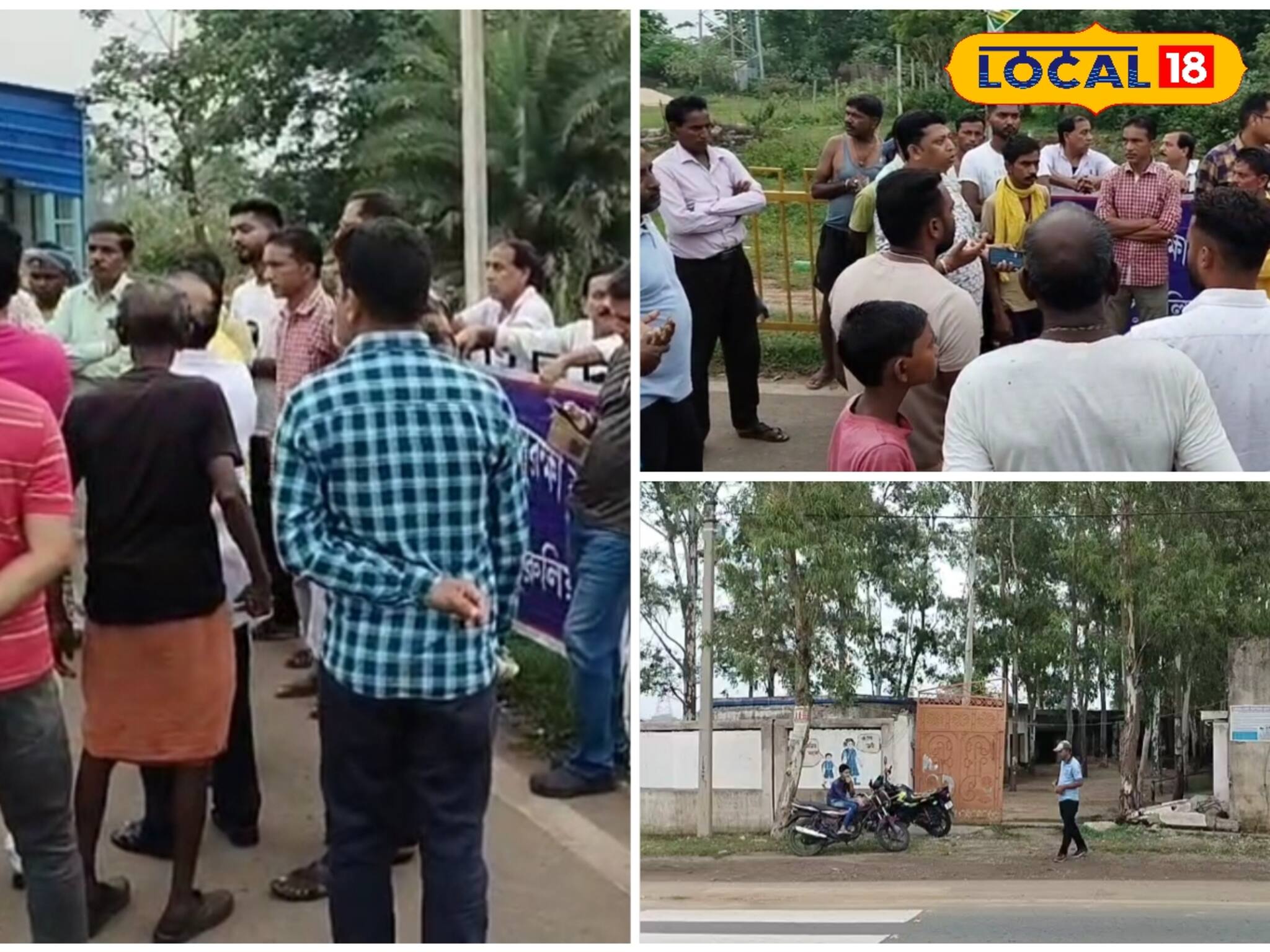 অপদেবতার অভিশাপ? কুসুম গাছ কেটে ফেলায় ঘটছে বার বার দুর্ঘটনা? রহস্য উন্মোচনে বিজ্ঞানমঞ্চ