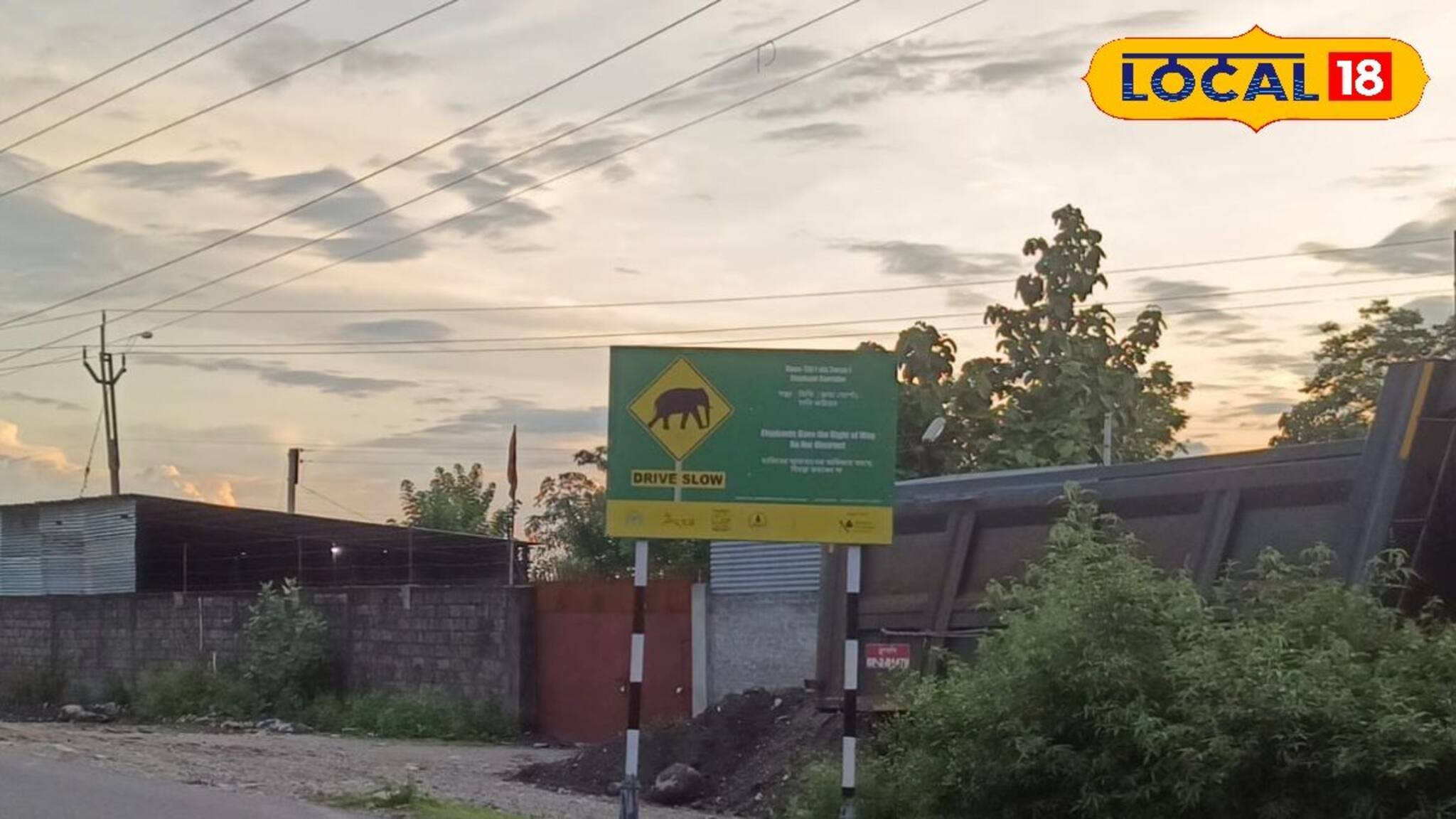 পথ ভুলে কেন বারবার হাতি ঢুকছে লোকালয়ে! এবার সামনে এল যা তথ্য, চিন্তা বাড়বে আপনারও