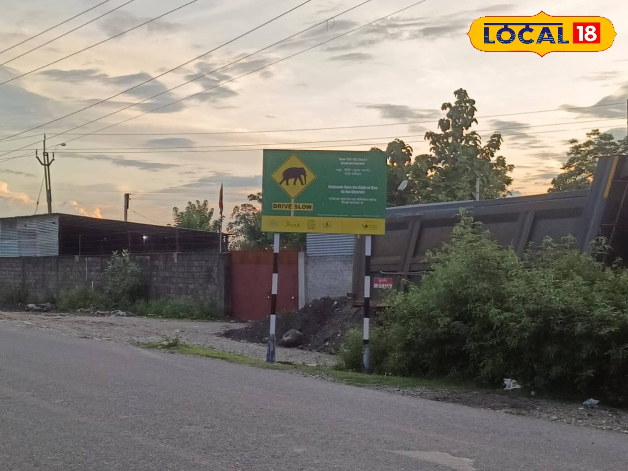 পথ ভুলে কেন বারবার হাতি ঢুকছে লোকালয়ে! এবার সামনে এল যা তথ্য, চিন্তা বাড়বে আপনারও