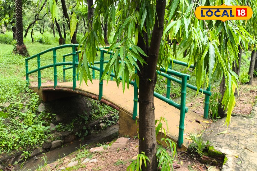 মরুত বাহার আবহটা দারুণ! বয়ে চলেছে ছোট্ট জলের ধারা। রয়েছে কৃত্রিম বাঁশের সেতু। বড় বড় গাছ দিয়ে ঘেরা এমন একটি জায়গা যেখানে গেলে ফিরে আসতে মন চায় না।
