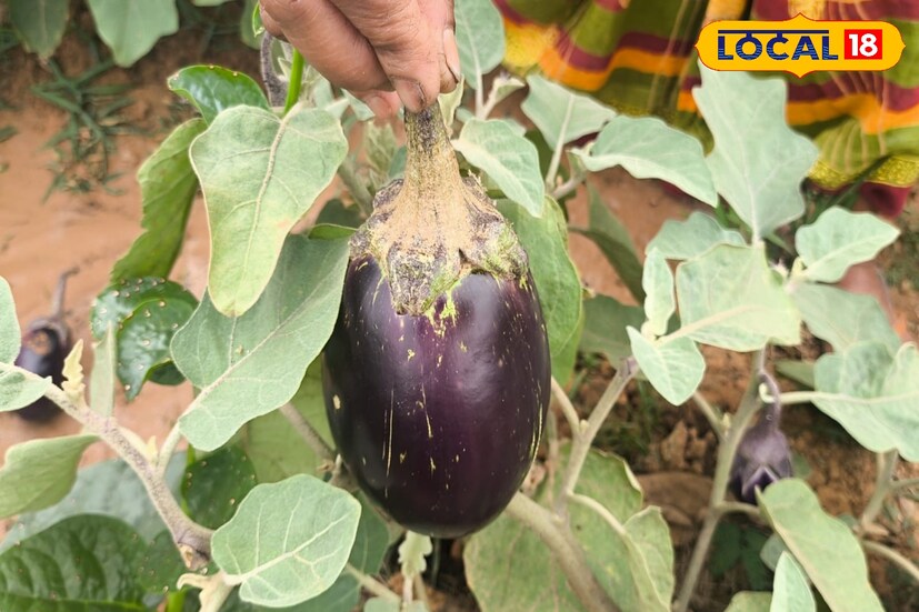 একটি বিদ্যালয় একটি ছাত্র-ছাত্রীর কাছে নিজের বাড়ির থেকেও বড় আসনে স্থান পায়। শিক্ষা থেকে খেলাধুলো এবং একসঙ্গে বসে খাওয়া দাওয়া। সবকিছুর জন্য বিদ্যালয় যেন এক রঙিন স্মৃতি। সে কারণে সরকারি উদ্যোগে মিড ডে মিল এক দৃষ্টান্ত স্থাপন করতে পেরেছে সাধারণ মানুষের চোখে।