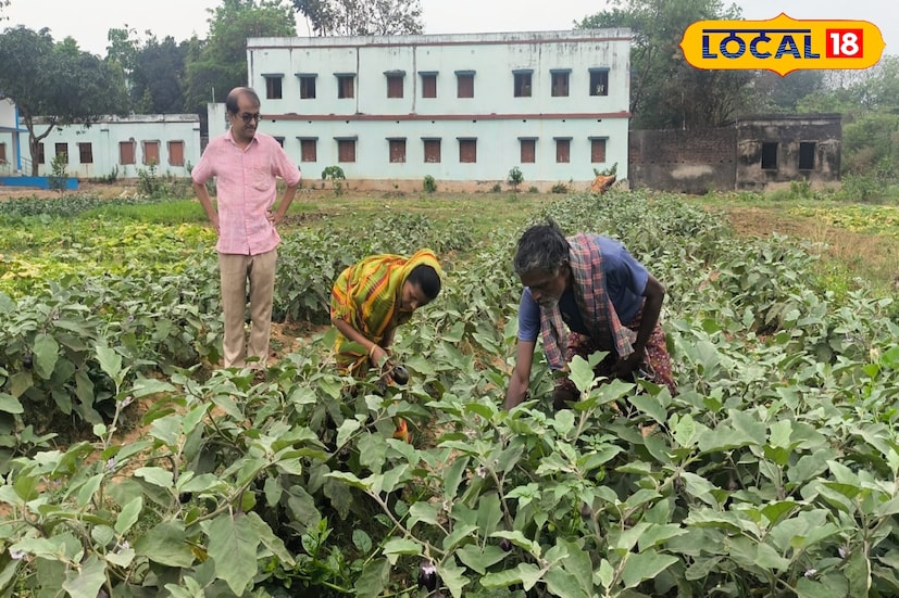 ইতিমধ্যেই যথেষ্ট প্রশংসা কুড়িয়েছে এই বিদ্যালয়। অন্যান্য সরকারি বিদ্যালয়গুলির কাছে একটি দৃষ্টান্ত স্বরূপ সবজি বাগান তৈরি করে, ছাত্র-ছাত্রীদের খাবারে পুষ্টির মান বজায় রাখছে ভোলা হিরাপুর নেতাজি সুভাষ উচ্চ বিদ্যালয়।