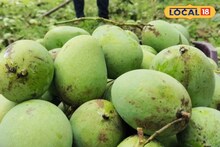 মালদহে এবার ম্যাঙ্গো হাব? বড় পদক্ষেপ আম ব্যবসায়ীদের, সরাসরি চিঠি কেন্দ্রকে