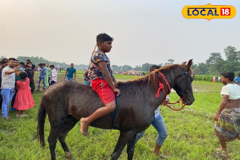 Horse Race: টগবগ টগবগ করে ছুটছে ঘোড়া, উড়ছে ধুলো, কেঁপে উঠল চারদিক! হার মানবে রণক্ষেত্র! কী এমন ঘটল উত্তর ২৪ পরগনায় Horse Race: টগবগ টগবগ করে ছুটছে ঘোড়া, উড়ছে ধুলো, কেঁপে উঠল চারদিক! হার মানবে রণক্ষেত্র! কী এমন ঘটল উত্তর ২৪ পরগনায়