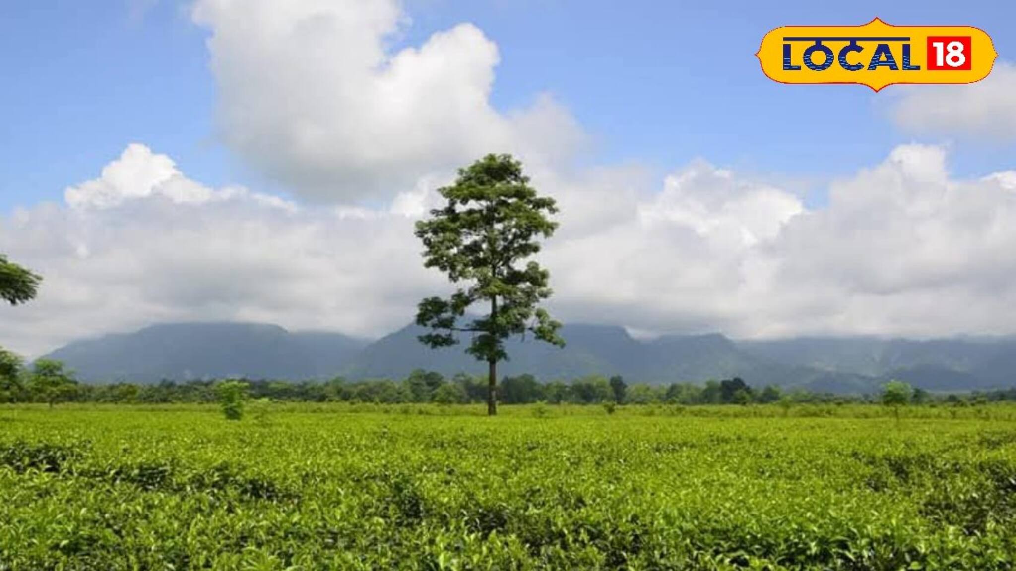 ঝোরার জলে ডুবে মৃত্যু, জল বাড়তেই ফের বাড়ছে আতঙ্ক! সুরাহা চেয়ে বিডিও-র দ্বারস্থ বাসিন্দারা