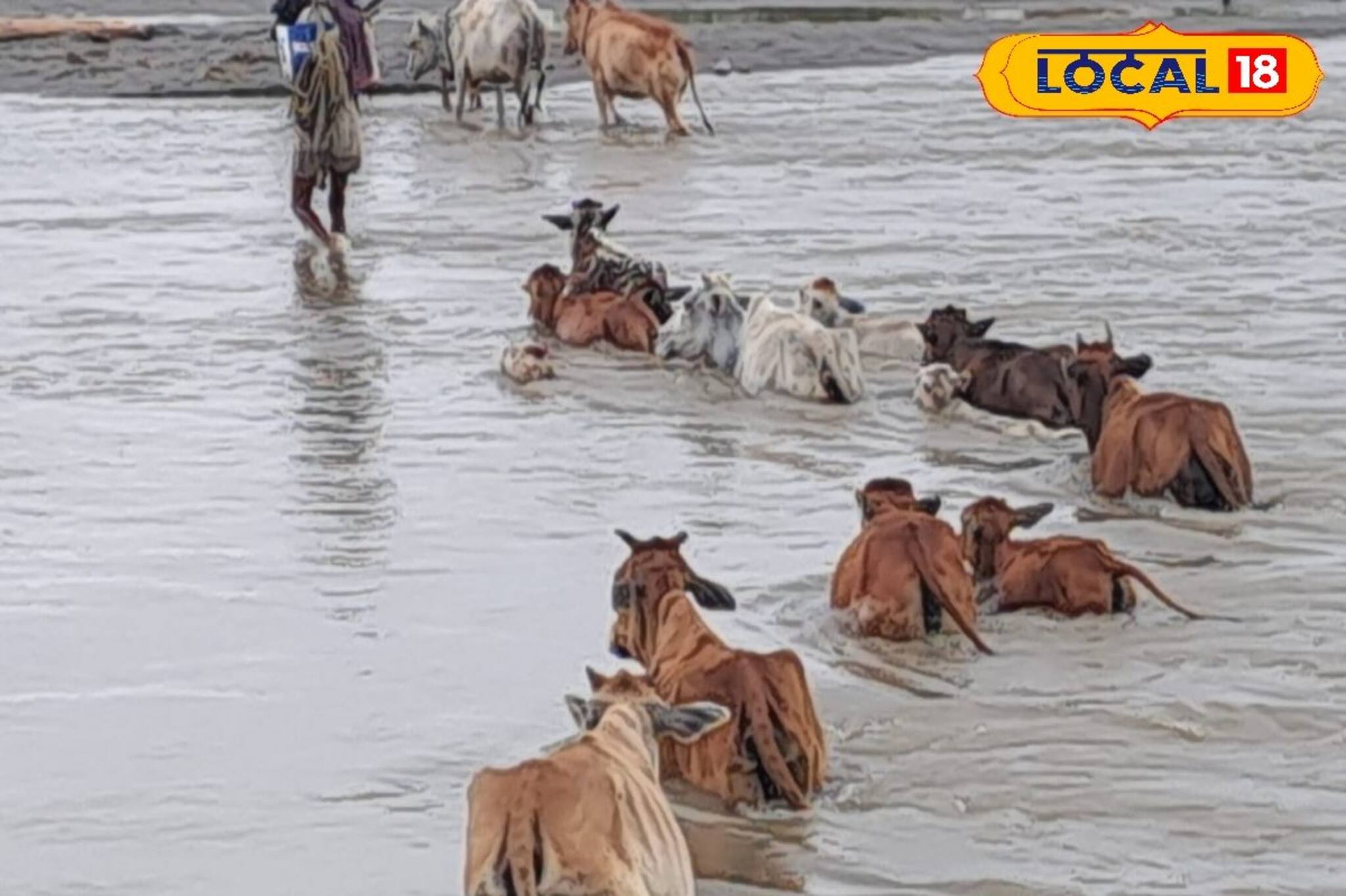 পাহাড়ে টানা বৃষ্টিতে বিপদ উত্তরবঙ্গে! যে কোনও সময় বন্যা, তিস্তায় লাল সতর্কতা জারি