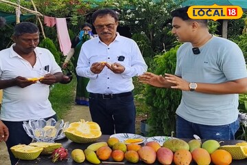 বিদেশি আমের স্বাদগ্রহণের সুযোগ! মিয়াজাকি থেকে বানানা ম্যাংগো—সবই রয়েছে এখানে!