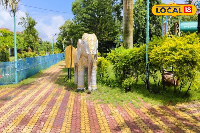 যারা কম খরচে শহরের বাইরে একটু গ্রাম্য ও শান্ত প্রকৃতির কোলে কিছু সময় কাটাতে চান, তাঁদের জন্য আদর্শ এই টাকি ইকো পার্ক। এখানে পরিবার বা বন্ধুবান্ধবদের নিয়ে পিকনিক করতেও আসেন অনেকেই। শীতকালে বা সপ্তাহান্তে এই পার্ক হয়ে ওঠে এক জীবন্ত মিলনক্ষেত্র।