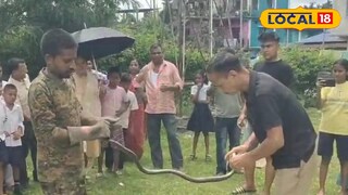 কালাচ সাপ 