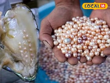 Want To Earn Big: মোটা টাকা রোজগার করতে চান ? তাহলে আপনিও শুরু করতে পারেন এই কাজ