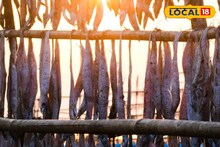 ভারত-বাংলাদেশ বাণিজ্যে জলঘোলা! কোটি কোটি টাকা লস! মাথায় হাত যেসব ব্যবসায়ীদের