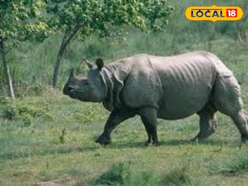 Alipurduar News: জ্বালানি কাঠ কুড়োতে যাওয়াই কাল হল! গন্ডারের মুখোমুখি হতেই চরম সর্বনাশ মহিলার… সব শেষ Alipurduar News: জ্বালানি কাঠ কুড়োতে যাওয়াই কাল হল! গন্ডারের মুখোমুখি হতেই চরম সর্বনাশ মহিলার… সব শেষ
