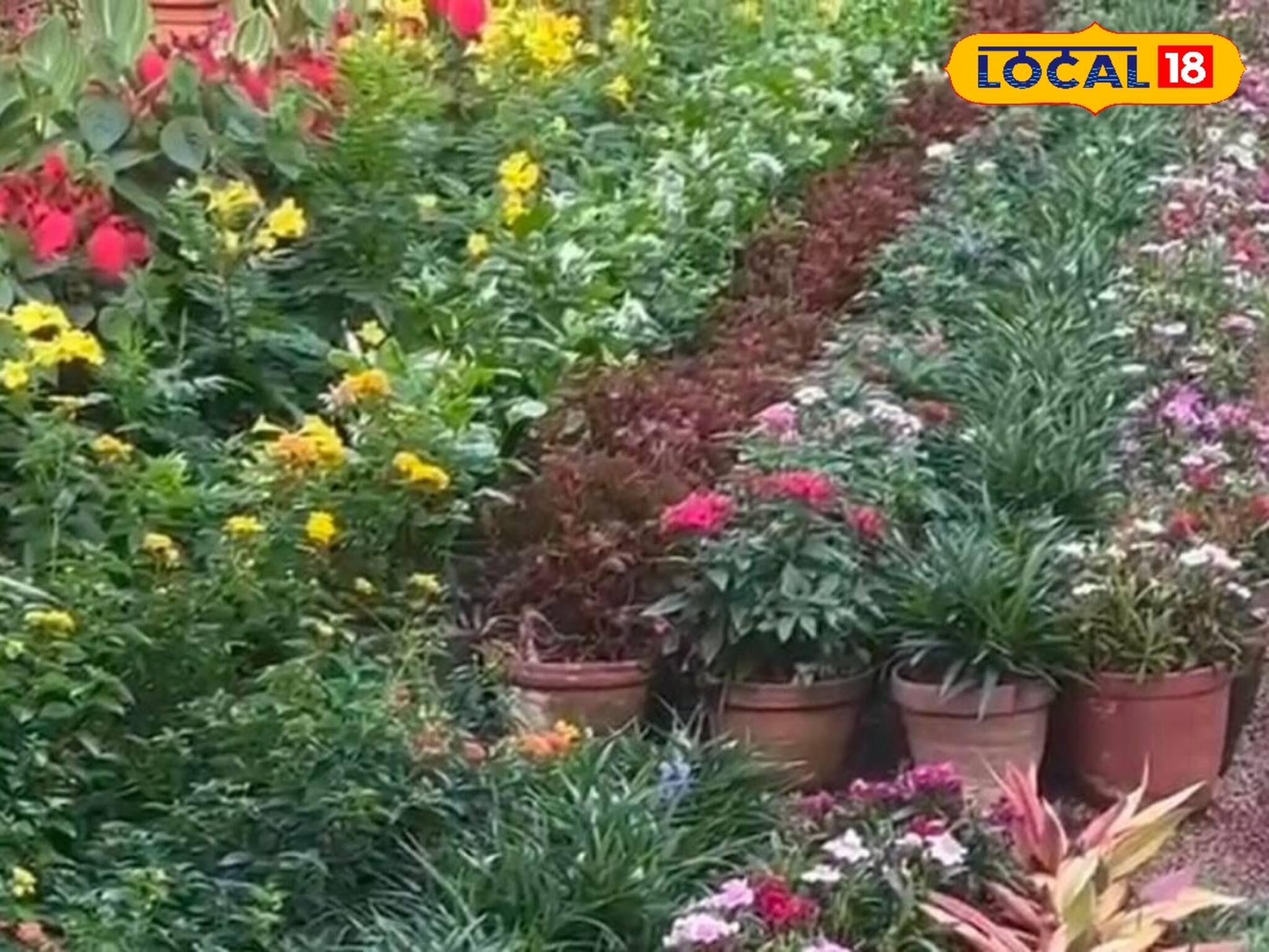 ফুলের হাসি বাঁধ ভেঙেছে...শান্তিনিকেতন বেড়াতে গেলে এই দখিনা বাতাসের ঠিকানায় যেতে ভুলবেন না