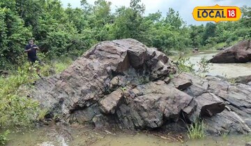 হাতি