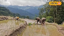 উৎসবে মাতোয়ারা পাহাড়! কেন এই সময় উৎসব হয় জানেন? আপনি কখনও শোনেনি এই কারণ, গ্যারান্টি!