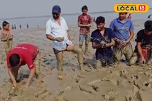 সুন্দরবনে সবুজ ঢেউ, ম্যানগ্রোভ চারা রোপণে যুবাদের নীরব বিপ্লব