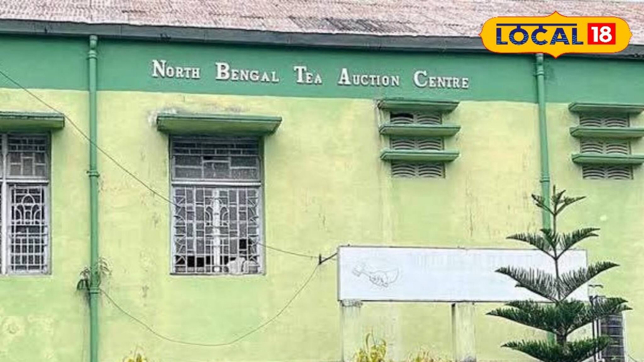 ১০ বছর পর চা পাতা নিলাম জলপাইগুড়িতে! প্রথমদিনেই ছক্কা, কত দর উঠল জানলে অবাক হবেন